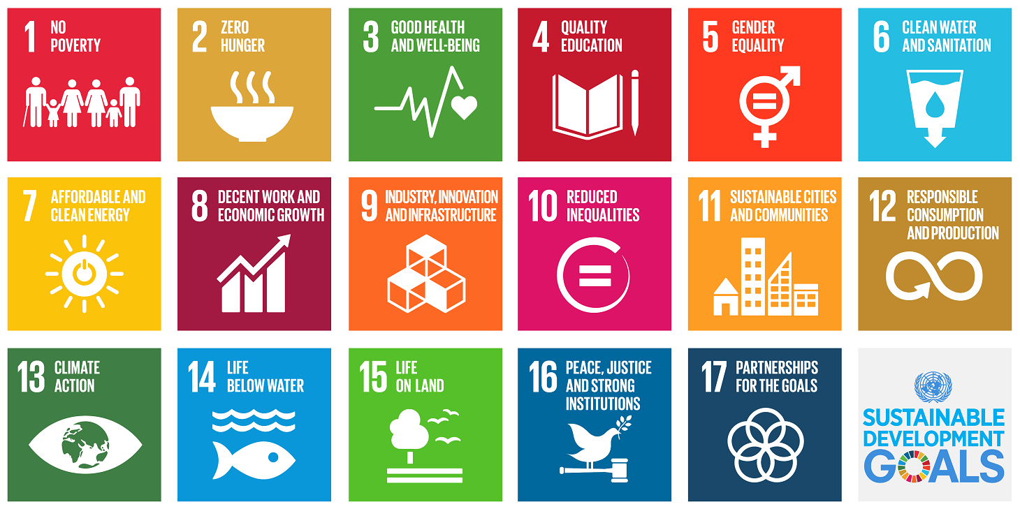 17 sustainable developement goals
