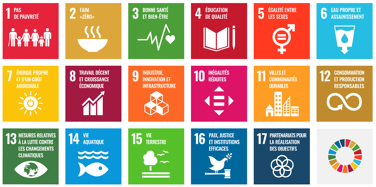 17 Objectifs de développement durable